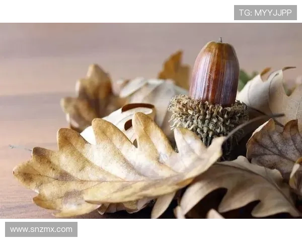 饥饿游戏:7大阴谋论解析,原来一切都是安排好的? 饥饿游戏:7大阴谋论解析,原来一切都是安排好的?