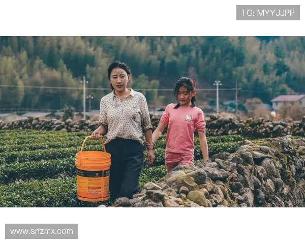远山的回响:一段穿越时空的姐弟情缘 远山的回响:一段穿越时空的姐弟情缘