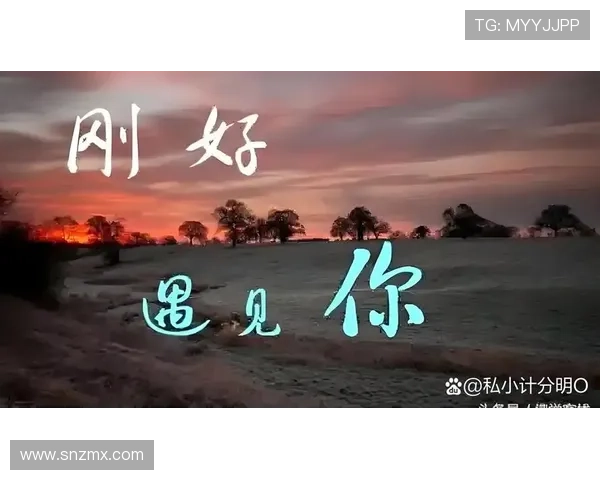 Once：一段关于失去与重逢的动人旋律，触动灵魂深处的爱恋